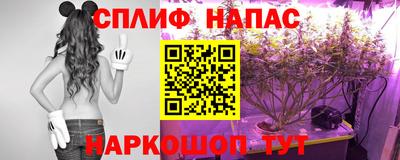 spice Кандалакша