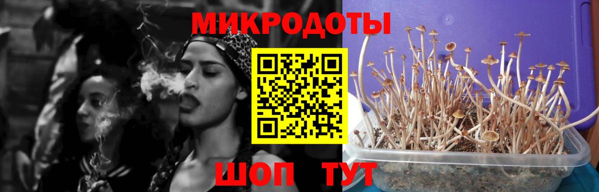 Галлюциногенные грибы Psilocybe  Вход с VPN  Элиста  Псилоцибиновые грибы MAGIC MUSHROOMS 